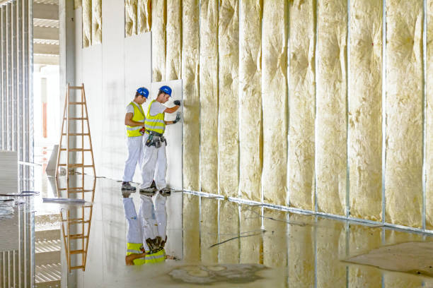Best Spray Foam Insulation in Schuylerville, NY